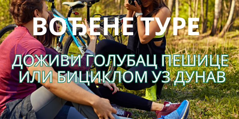 VOĐENE TURE (2)