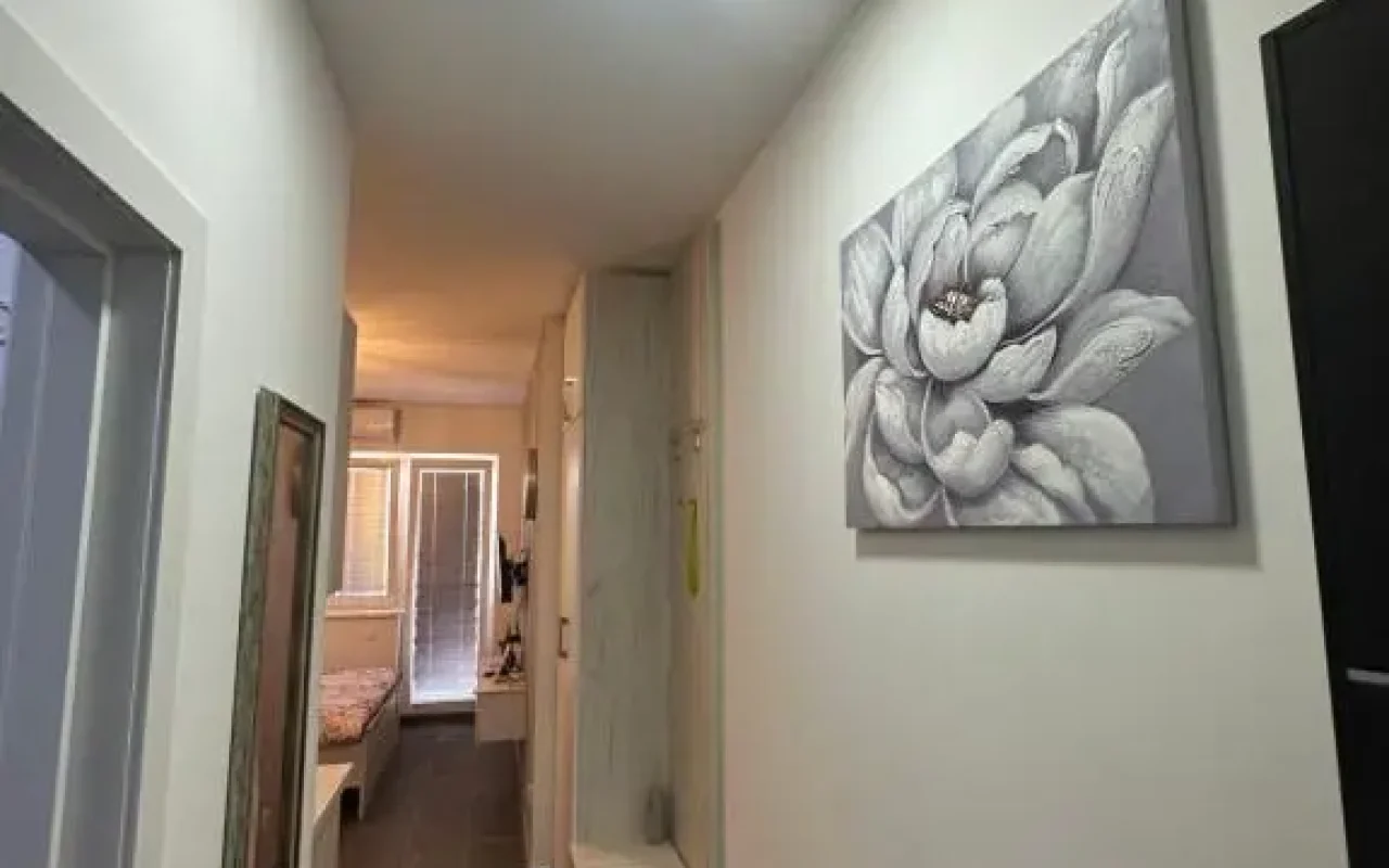 Apartman Aleks Golubac - 11