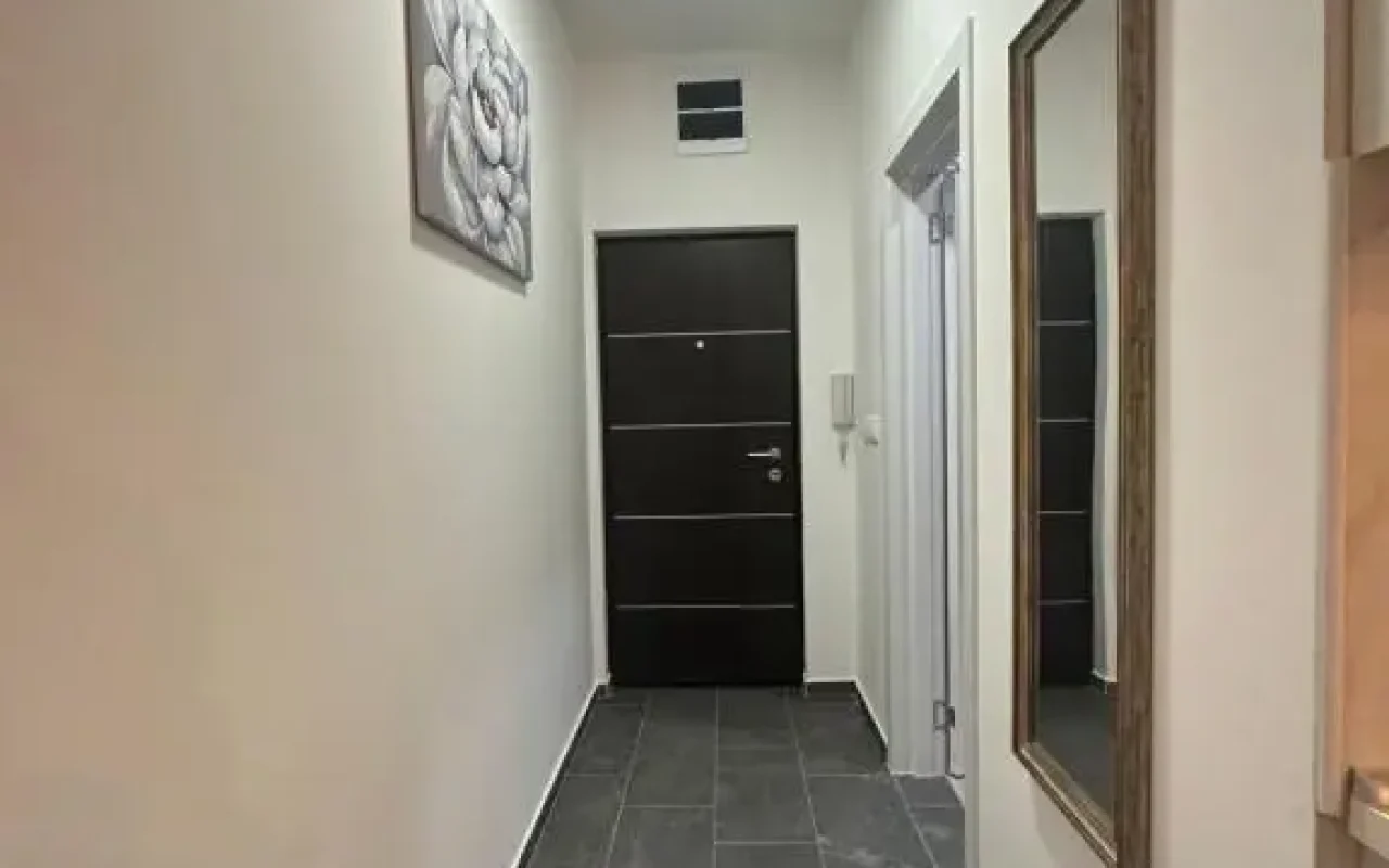 Apartman Aleks Golubac - 14