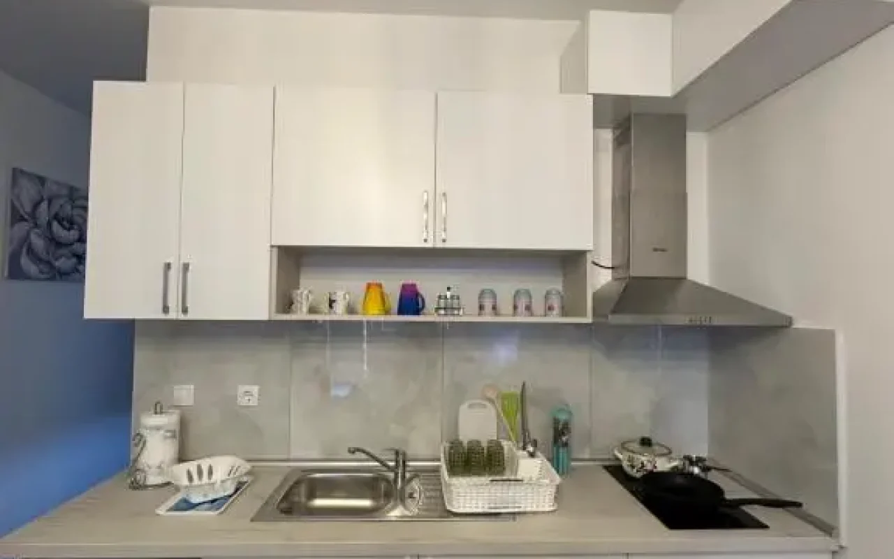 Apartman Aleks Golubac - 15