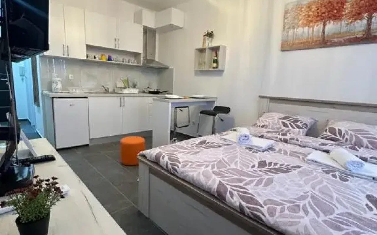 Apartman Aleks Golubac - 4