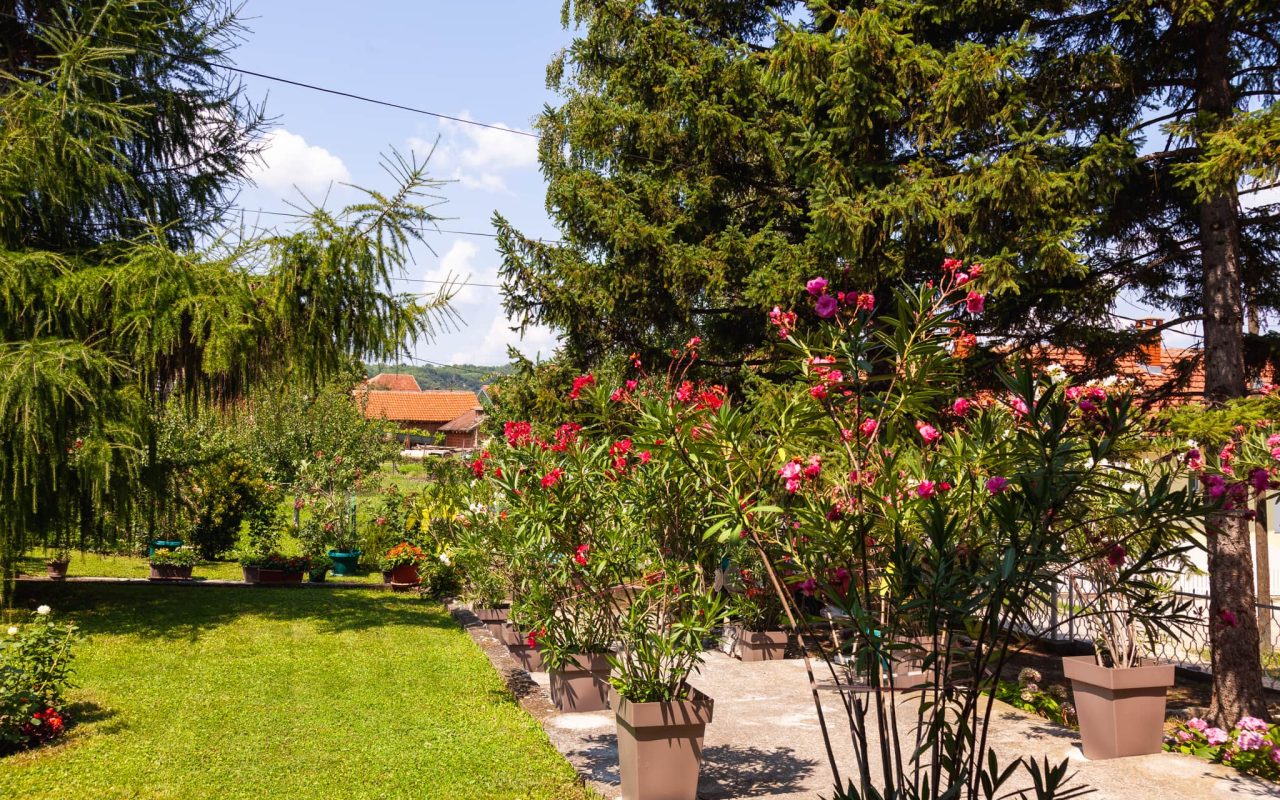 Apartman Aleksandar Golubac 6