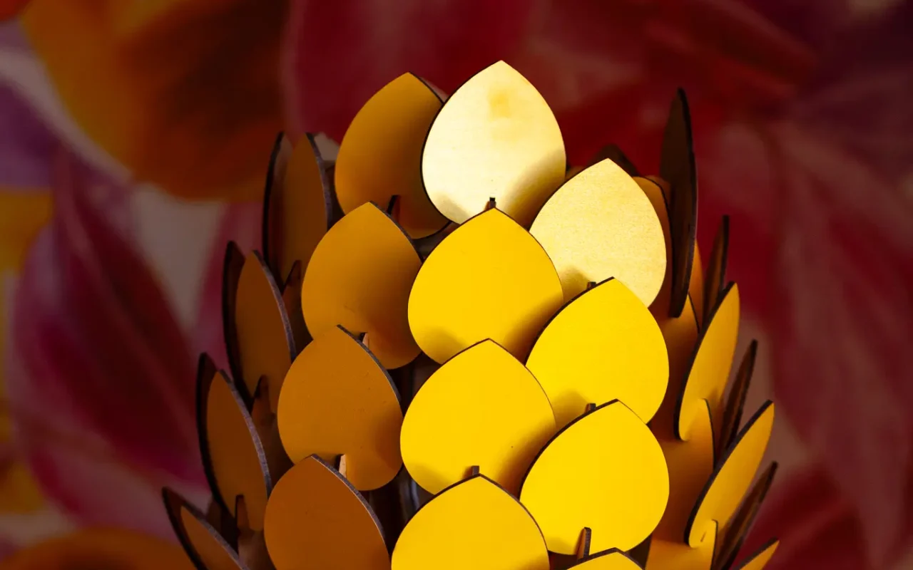 Apartman Amore Mio - Golubac 19