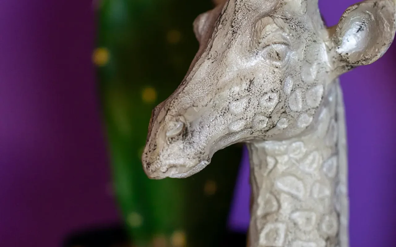 Apartman Amore Mio - Golubac 22