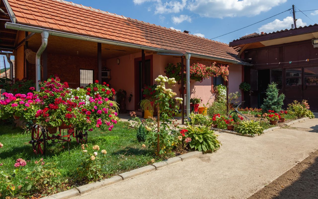 Apartman Golubović Golubac 8