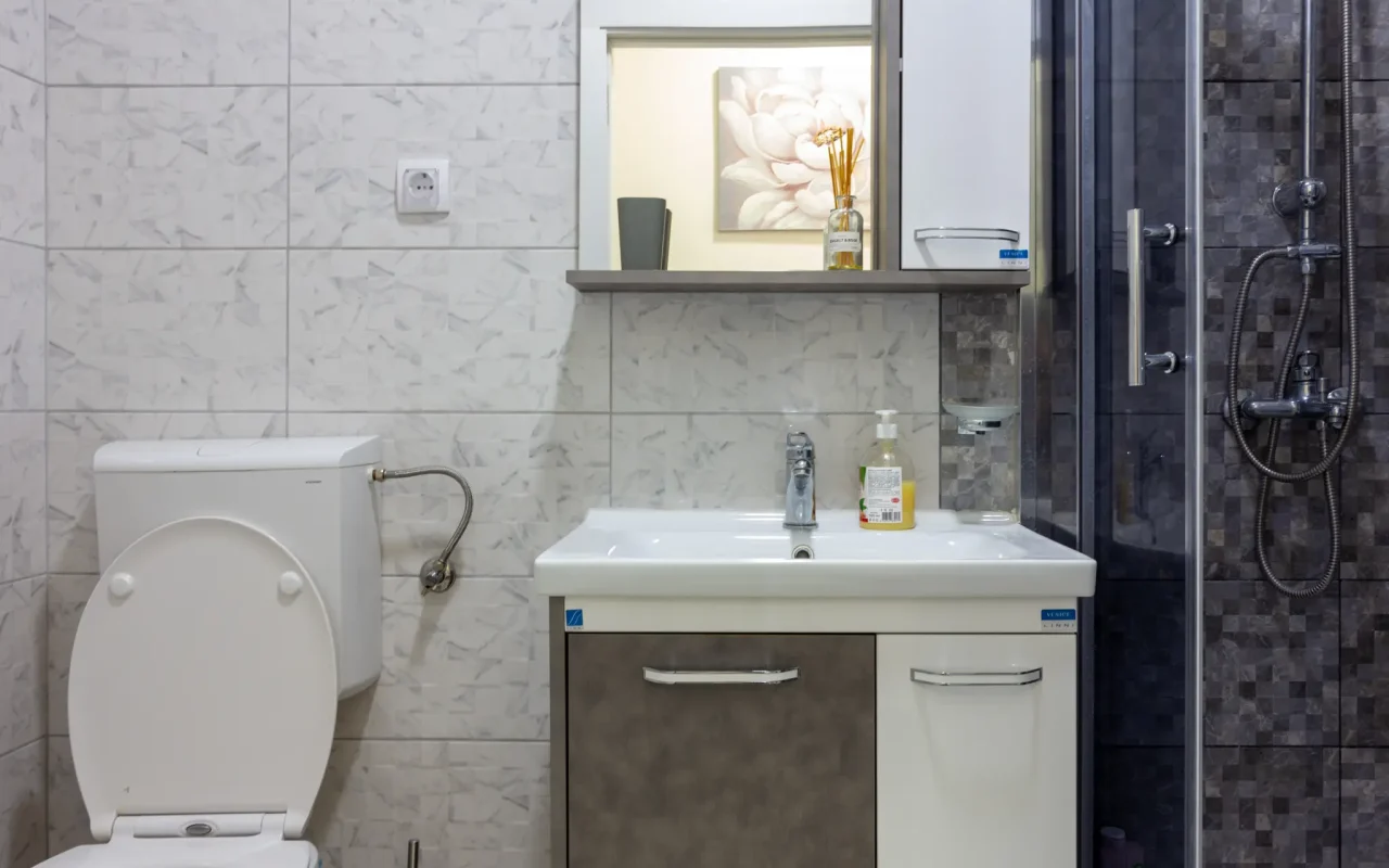 Apartmani Aleks - Golubac-1