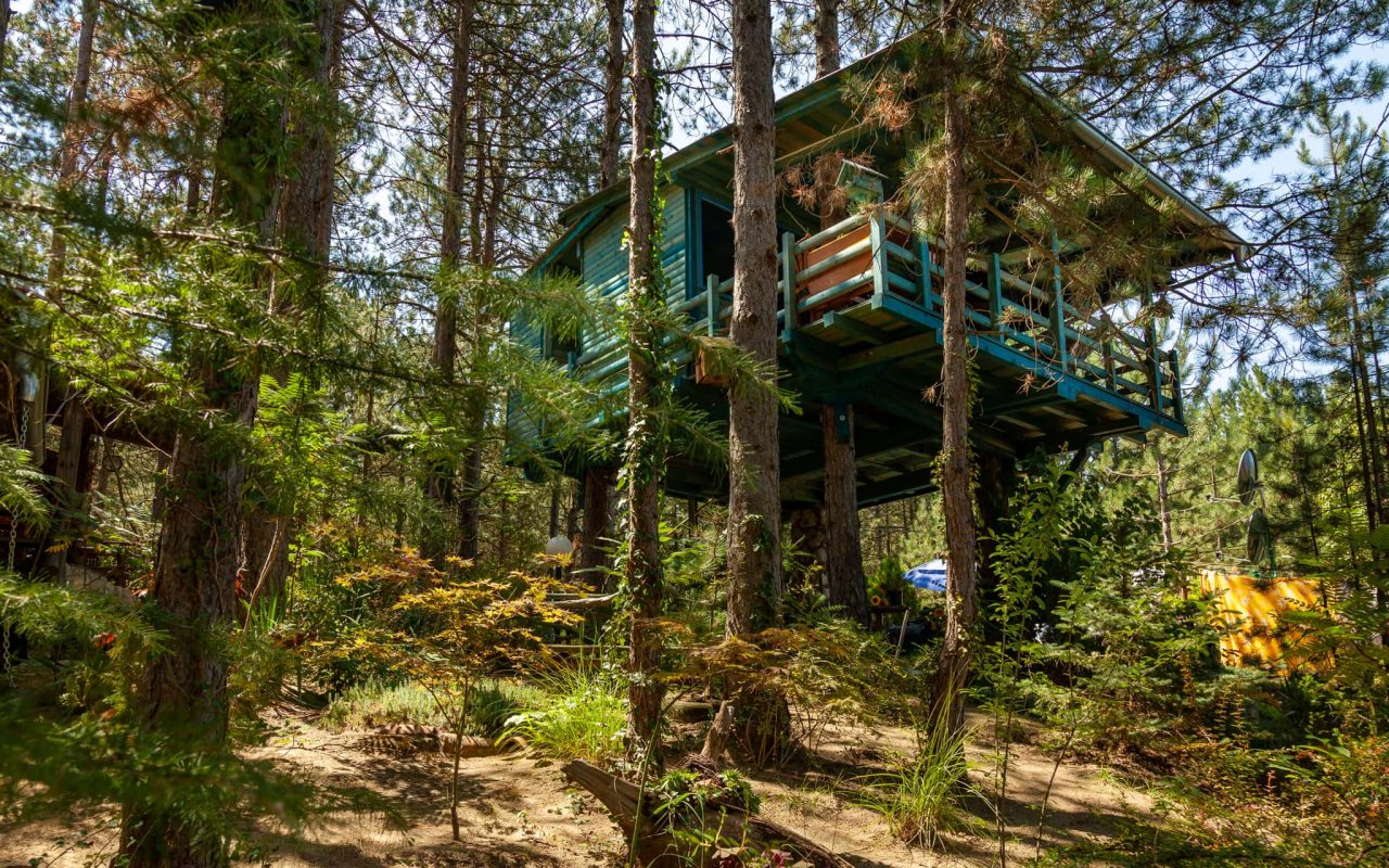 Apartmani Bajka Vinci 1