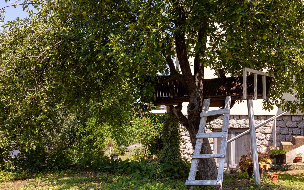 Apartmani Jaz Golubac 18