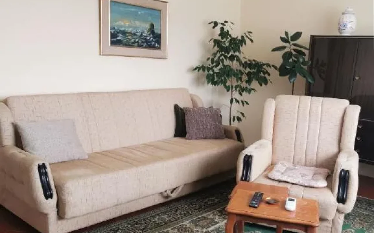 Dunavska panorama (1)