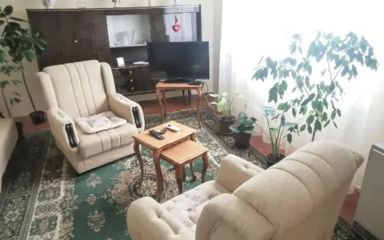 Dunavska panorama (10)