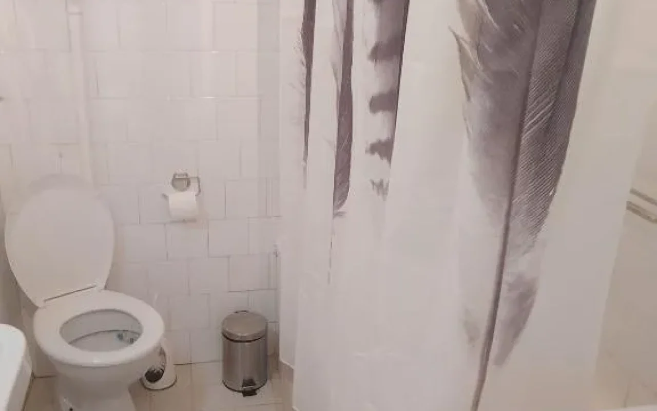 Dunavska panorama (4)