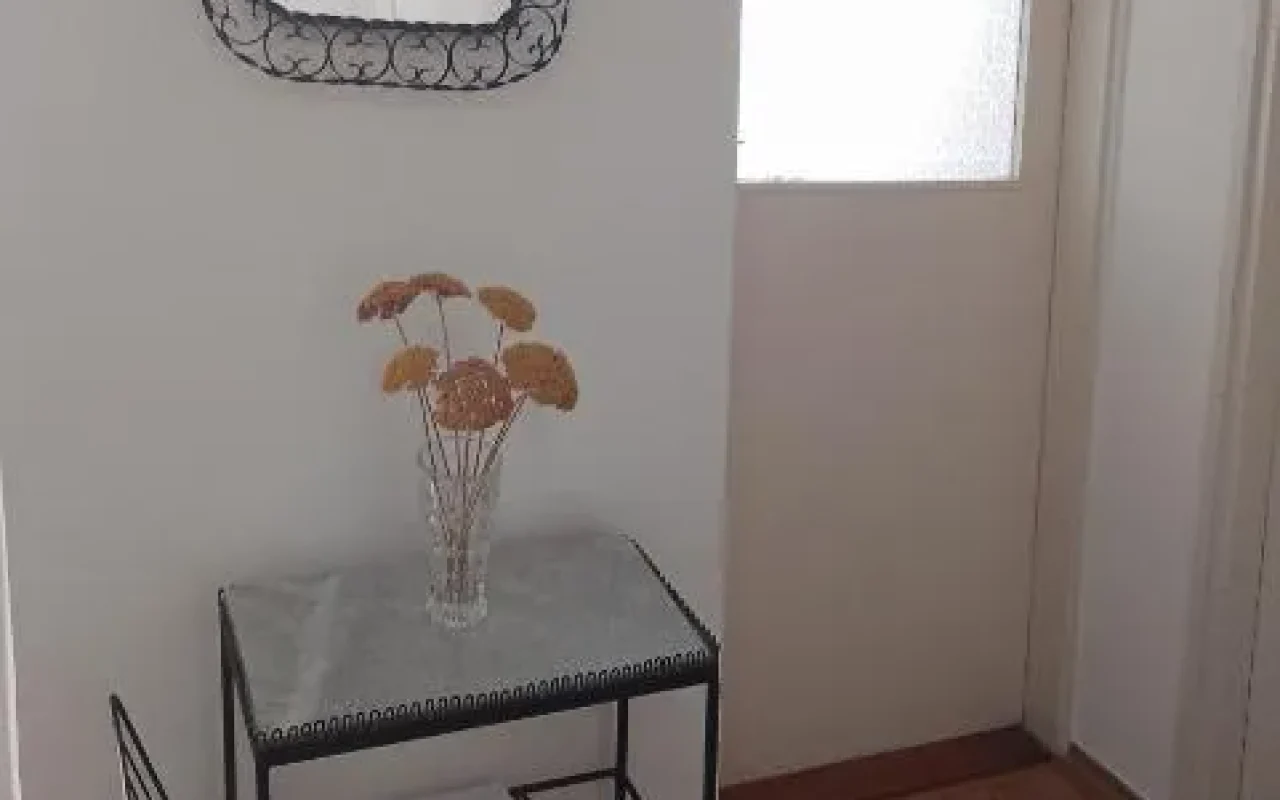 Dunavska panorama (7)