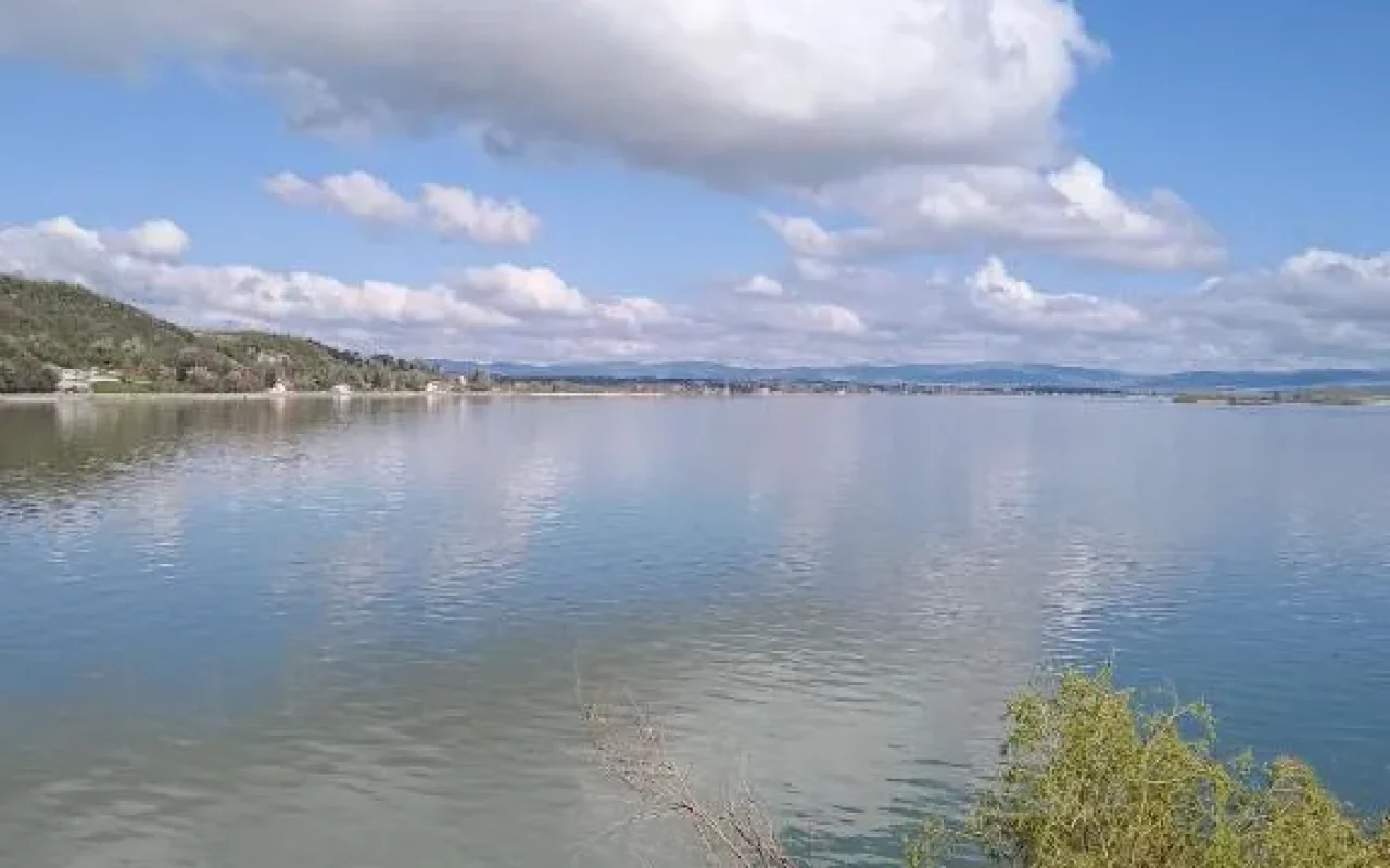 Dunavska panorama (8)