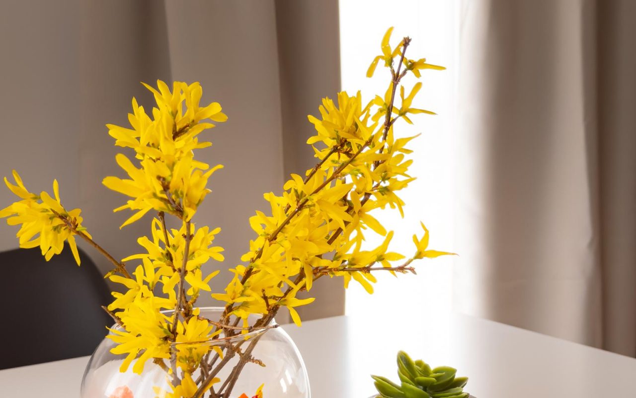 Golubina apartmani - Golubac-37