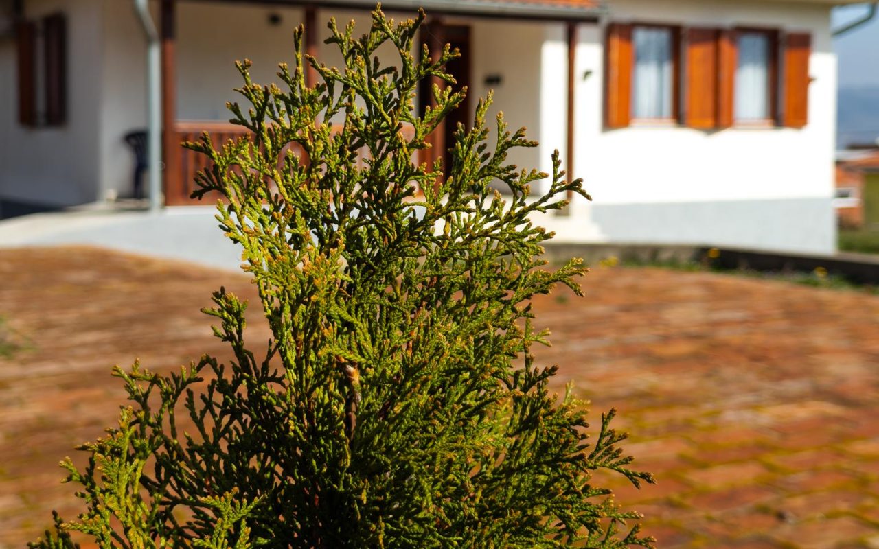 Golubina apartmani - Golubac-4