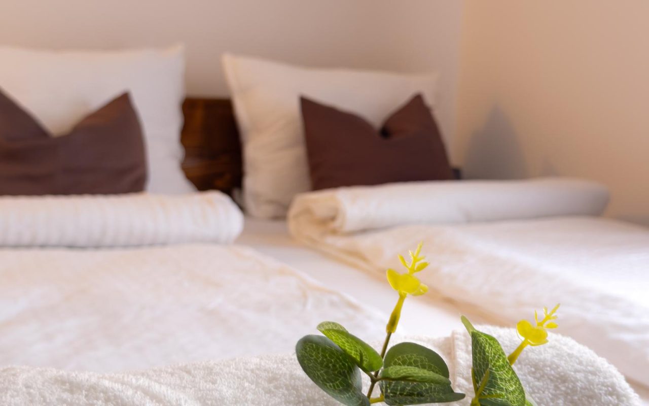 Golubina apartmani - Golubac-56