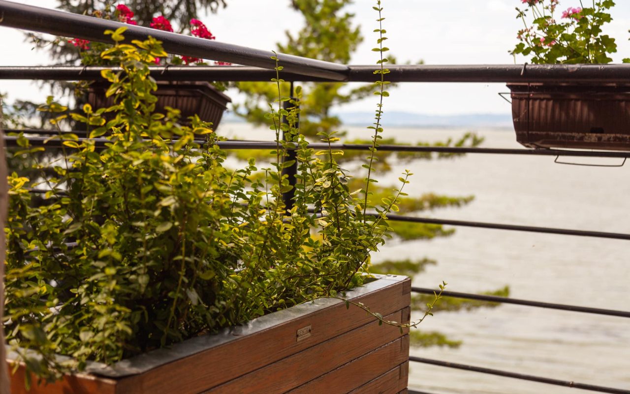 Kuća za odmor Dunjarica Golubac 2